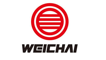 WEICHAI INDIA PVT LTD