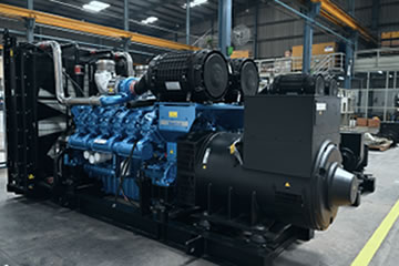 Diesel Generators (DG) Set